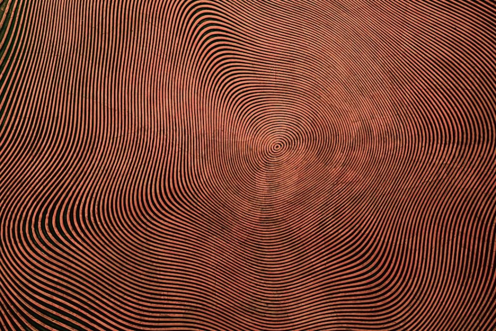 Photo Feedback loop