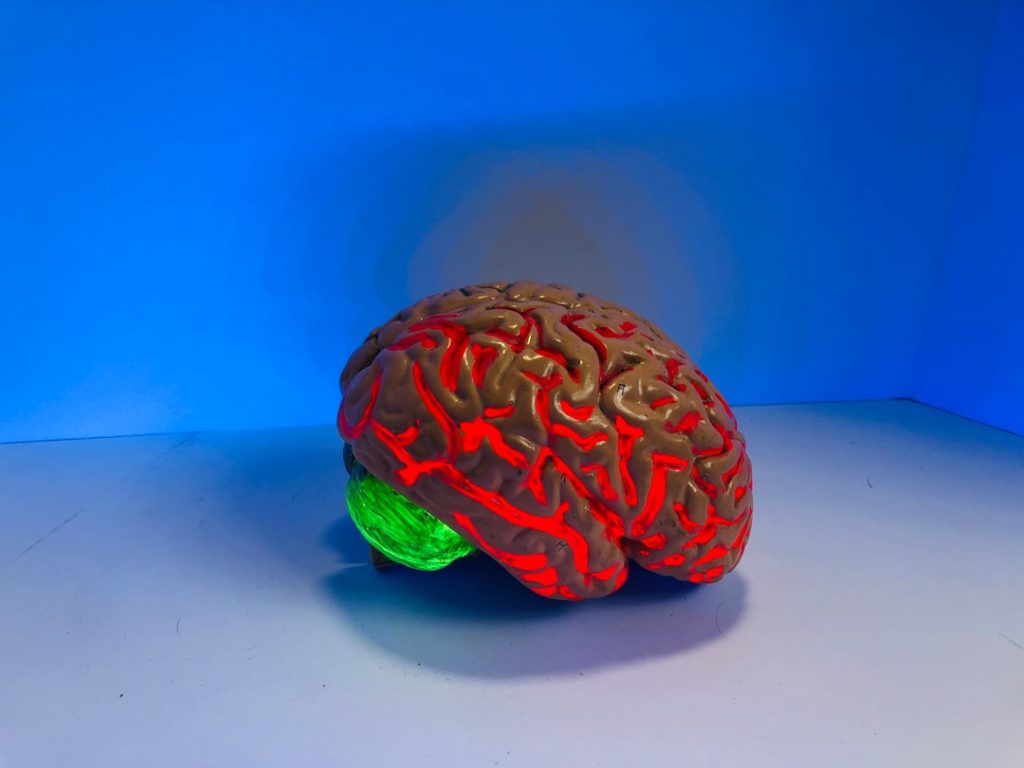 Photo Brain reconstruction