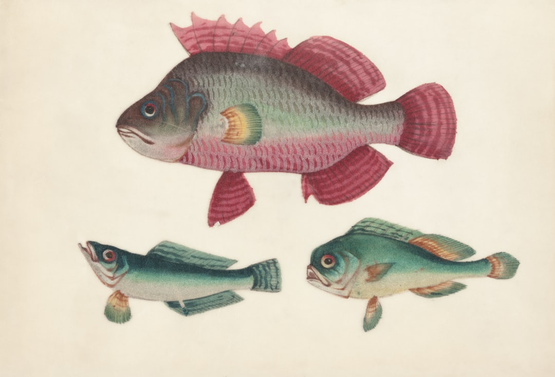 Photo Brain illustration